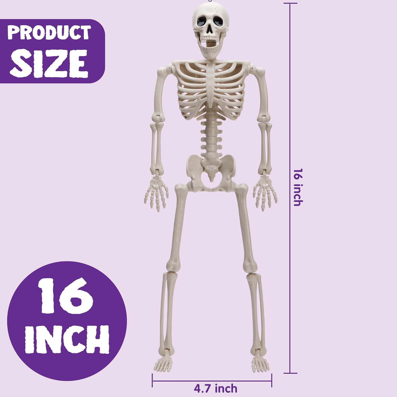 5 PCS Posable Halloween Skeleton Decor 16 Inches, Full Body Posable Joints Hanging Skeletons for Halloween Decorations, Graveyard Props, Haunted House Accessories, Spooky Scene Party Favors